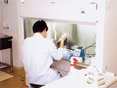 酵母実験室