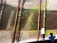 阿賀野川中流部河道模型写真