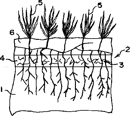 緑化可能な侵食防止シート・マット 概要図