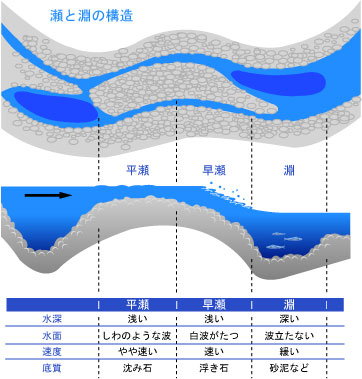 C[W摜