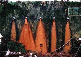 �ʐ^-1�@�@�\�ቺ�������{�[�����O