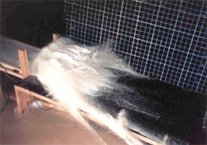 �ʐ^-2 ����͌^������