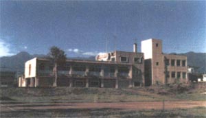 ���a52�N�ɑ��z���ꂽ����