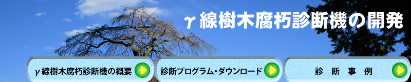 γ線樹木腐朽診断機の開発