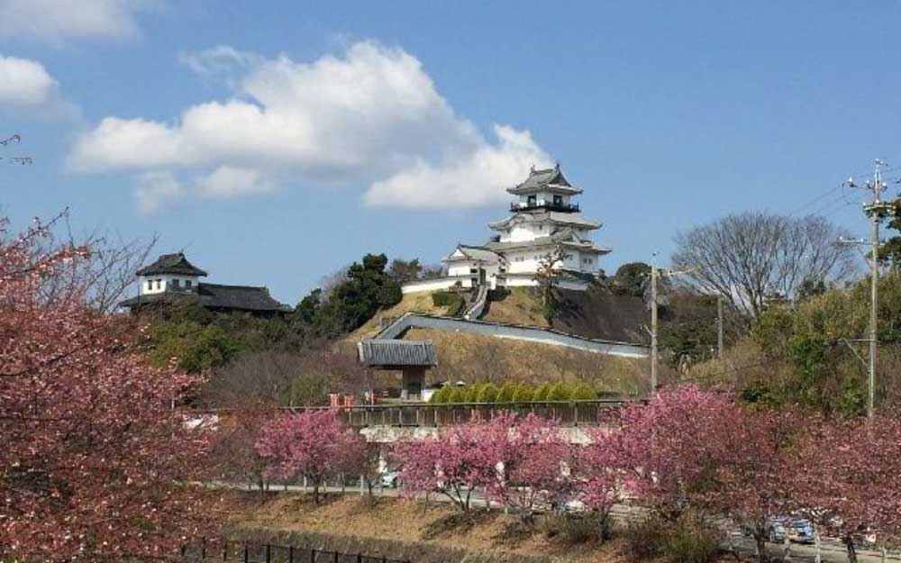 掛川城と城下町に広がる掛川桜