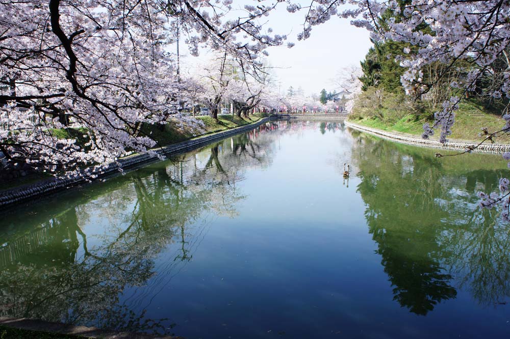 新庄城址最上公園