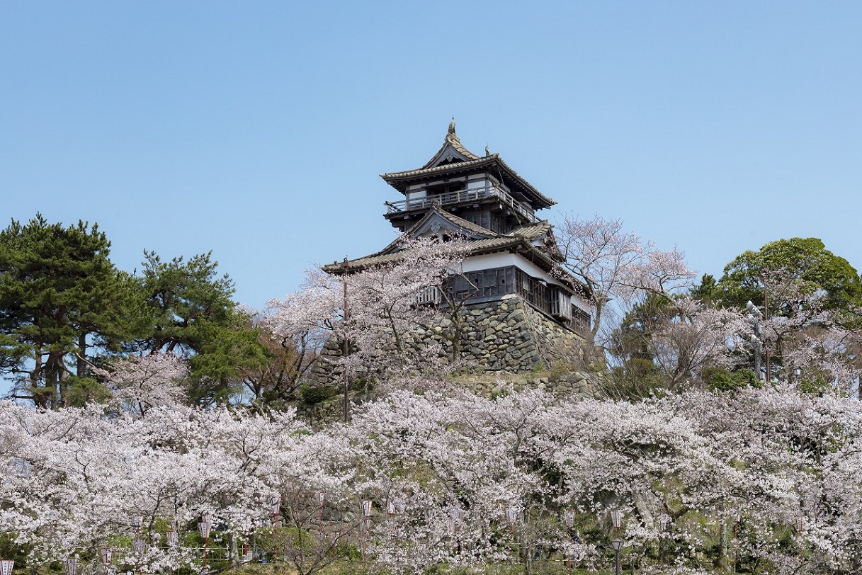 丸岡城