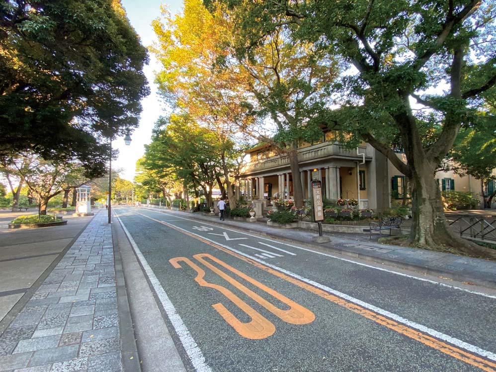 山手本通り沿いの景観