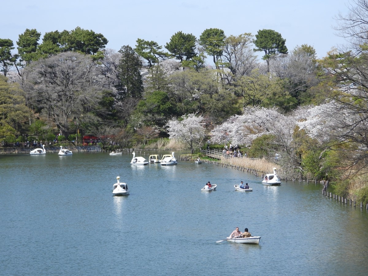 洗足池公園（東京都指定名勝）