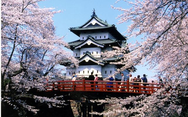 弘前さくらまつり：花見客が下乗橋に集まっている