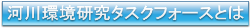 河川環境研究TFとは 河川環境研究TFとは