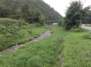 河川の生態