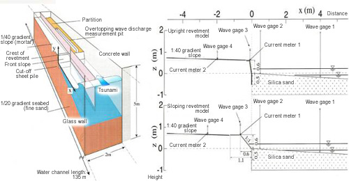 Outline of the model