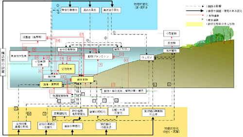 Impact response flow chart of sand beach ecosystem