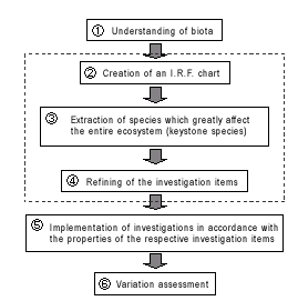 Flow of coastal environmental investigations