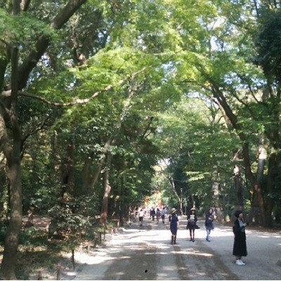 下賀茂神社・糺の森