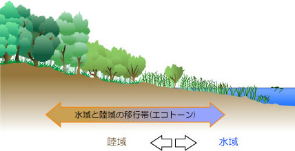 GRg[C[W}