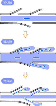 C[W摜