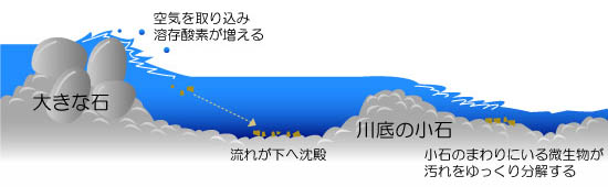 C[W摜