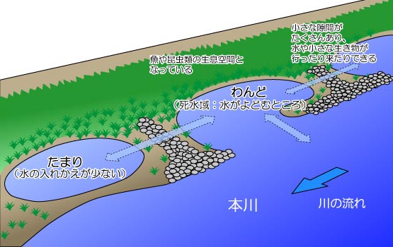 C[W摜
